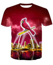 Load image into Gallery viewer, 210318 Cardinals Skyline