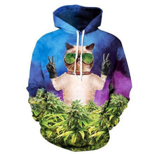 Load image into Gallery viewer, Hoodies Hooded 3d Sweatshirt Men Funny